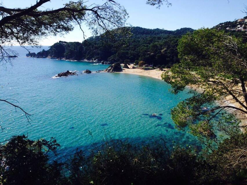 Appartements Les Pesquiers Hyeres Plage Buitenkant foto