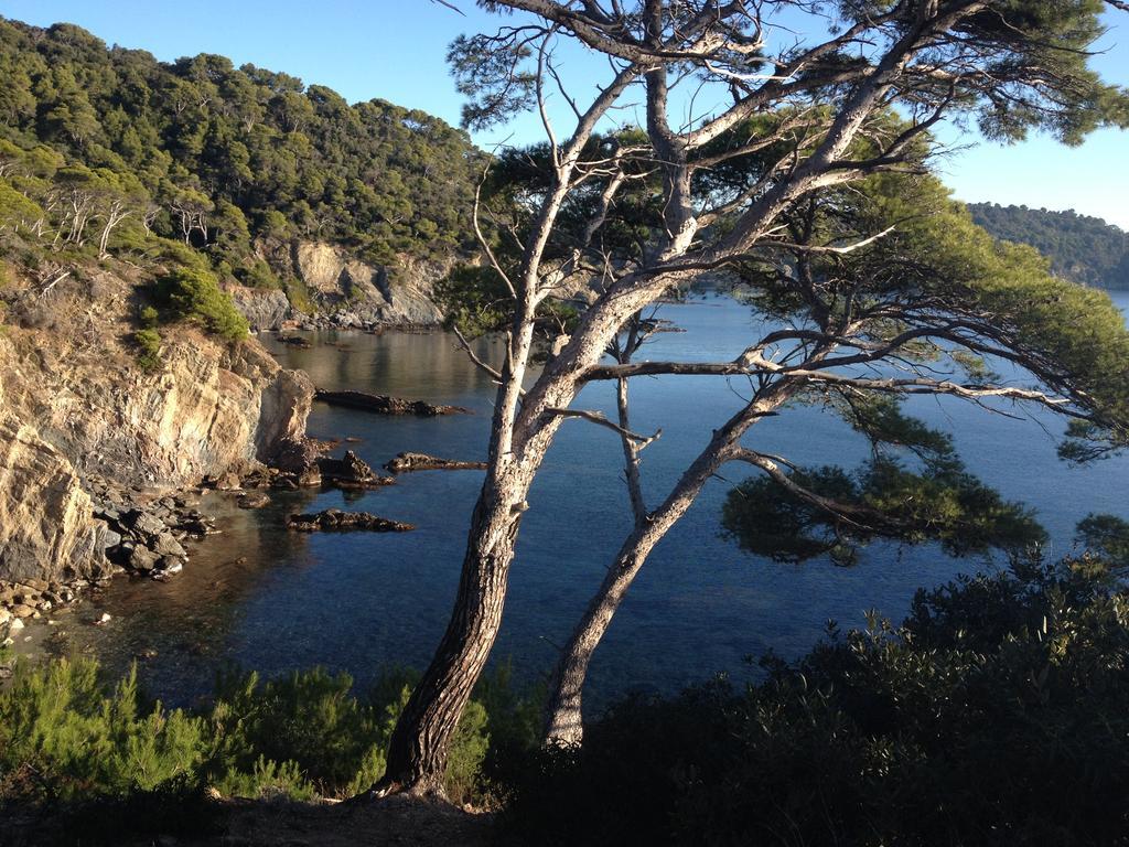 Appartements Les Pesquiers Hyeres Plage Buitenkant foto