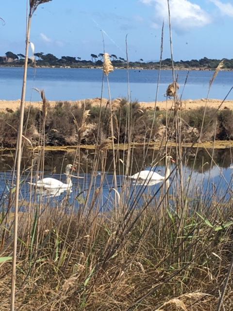 Appartements Les Pesquiers Hyeres Plage Buitenkant foto